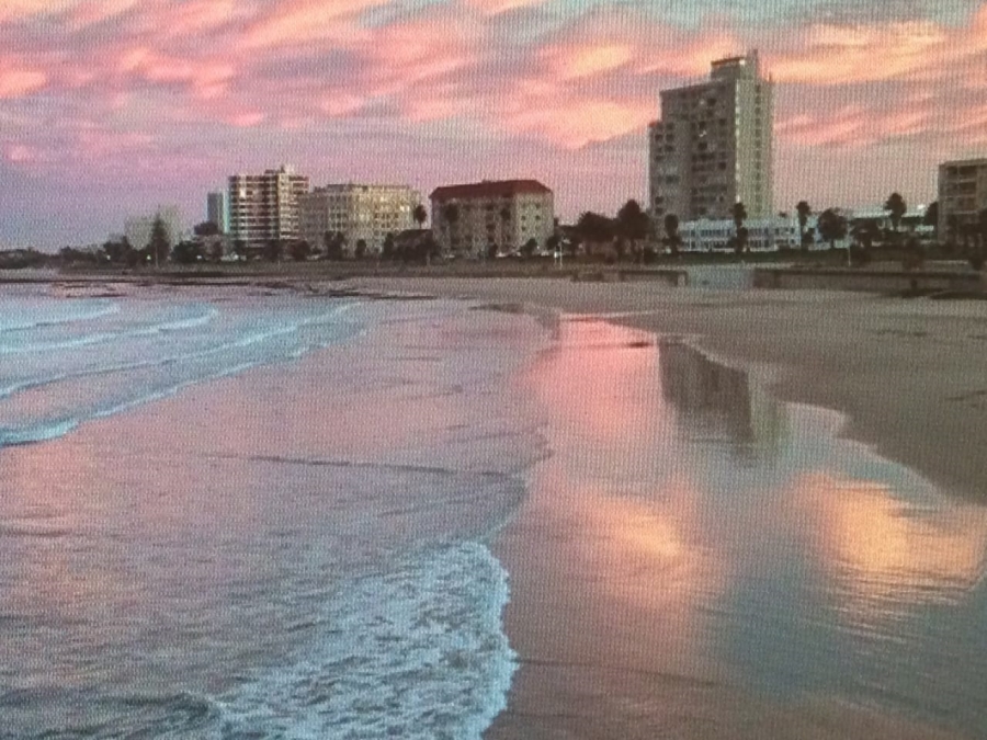 4 Bedroom Property for Sale in Humewood Eastern Cape